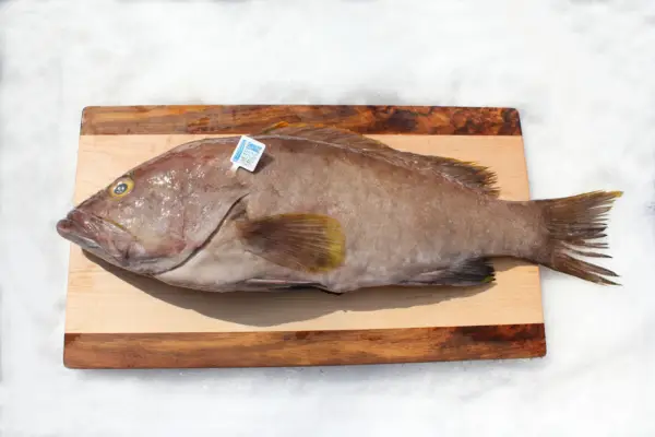 Grouper Filet - Image 3