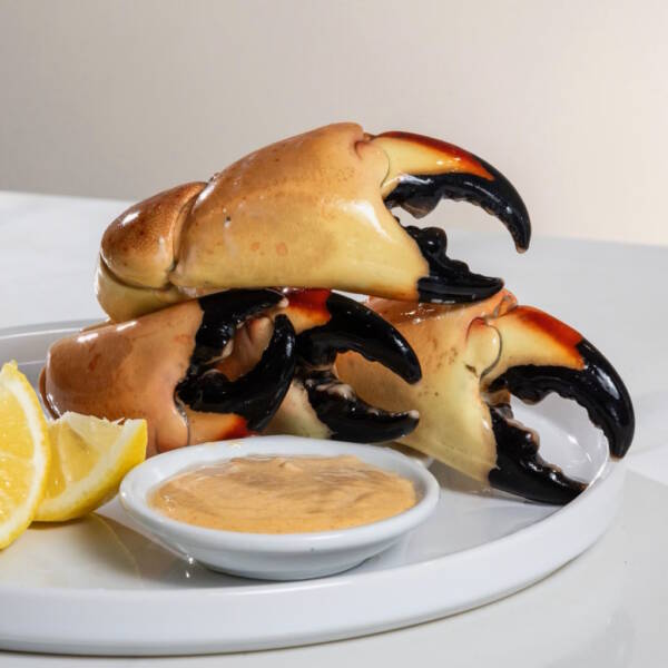 Jumbo Stone Crabs