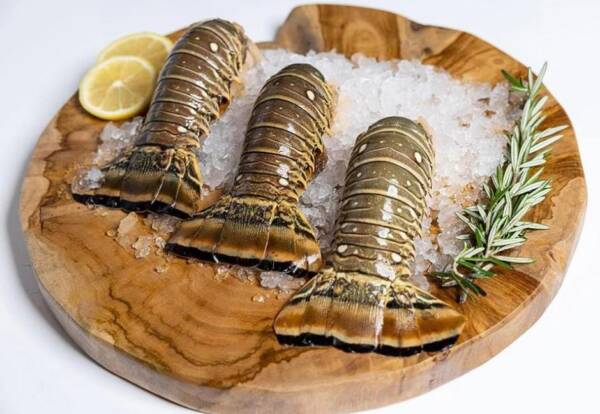 Spiny Lobster Tails